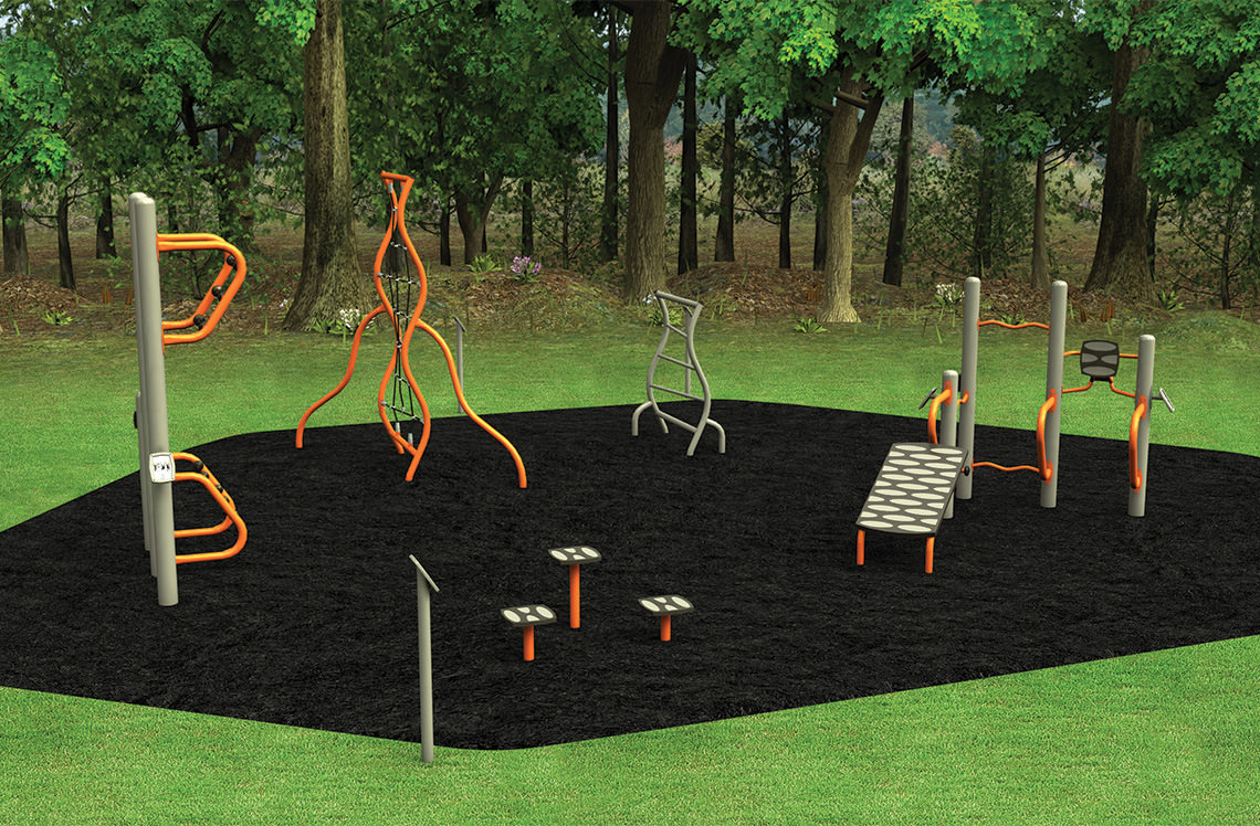 Playground Fitness Equipment