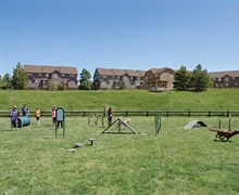 Wiggly Field Dog Park