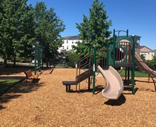 Summerfield at Brambleton