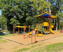 Birch Tree Park