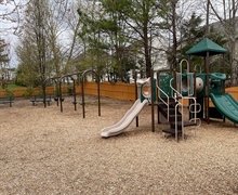 Wyndham Forest HOA