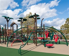 Hank Waltonowski Park