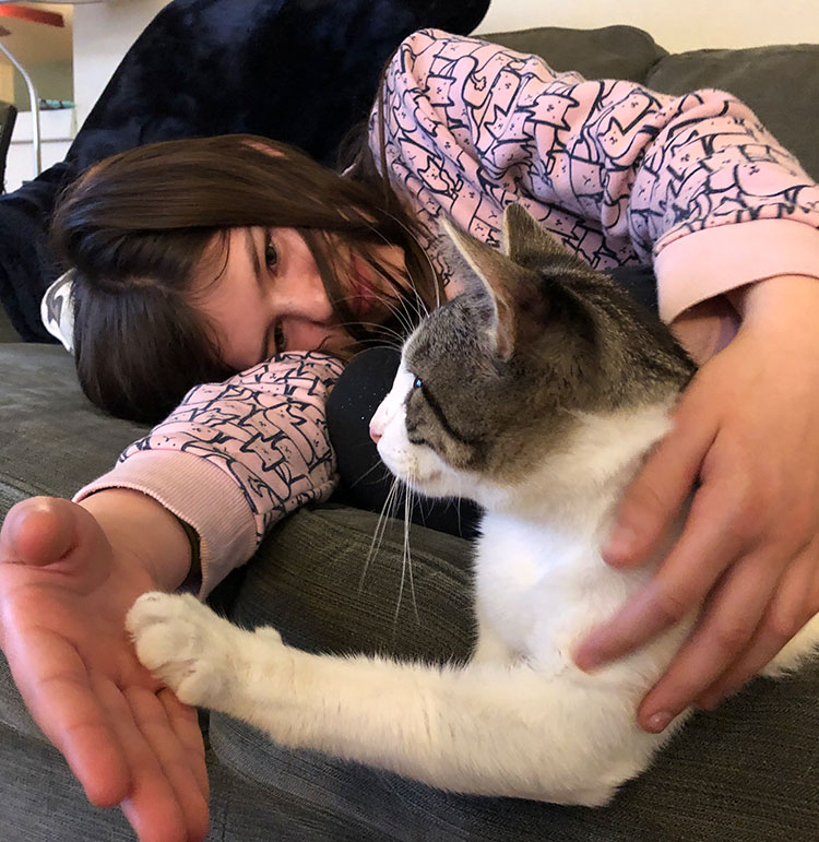 Rescuing Pets