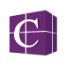 Caddetails Web Icon