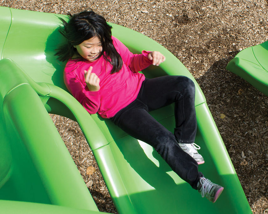 Slides
