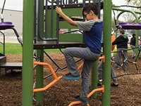 Tree Branch Climber