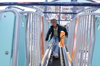 Evolution 360 Inclusive Climber