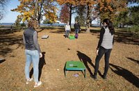 Cornhole Boards