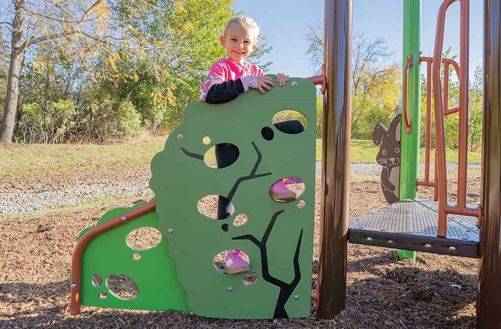 NaturePlay Woodland Climber