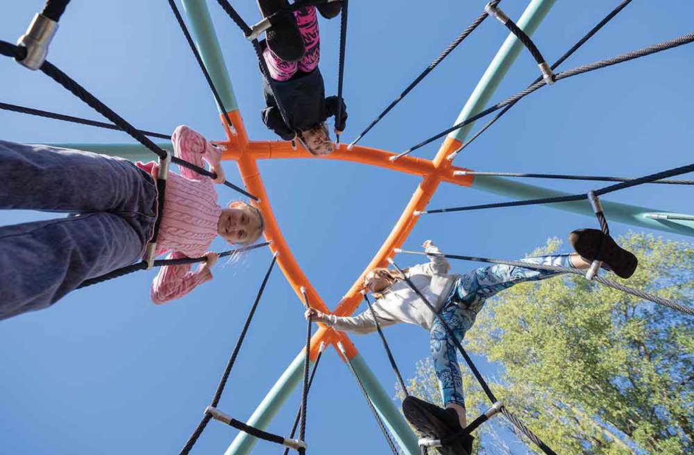 Level X Dome BB-3811