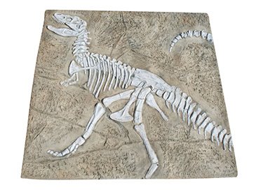 Dinosaur Fossil Dig - Large