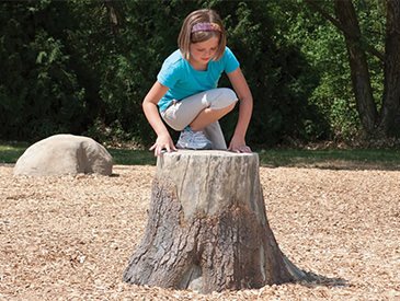 NaturePlay Stump - Large