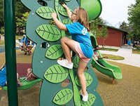 Jungle Vine Climber